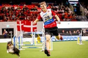 Il est champion du monde d&rsquo;agility