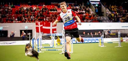 Il est champion du monde d&rsquo;agility