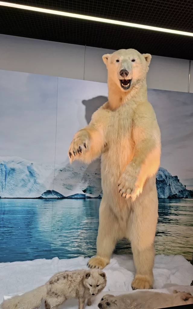 Christian Schneiter est taxidermiste mais aussi sculpteur. Ses ours plus vrais que nature ont envahi l'Esplanade…