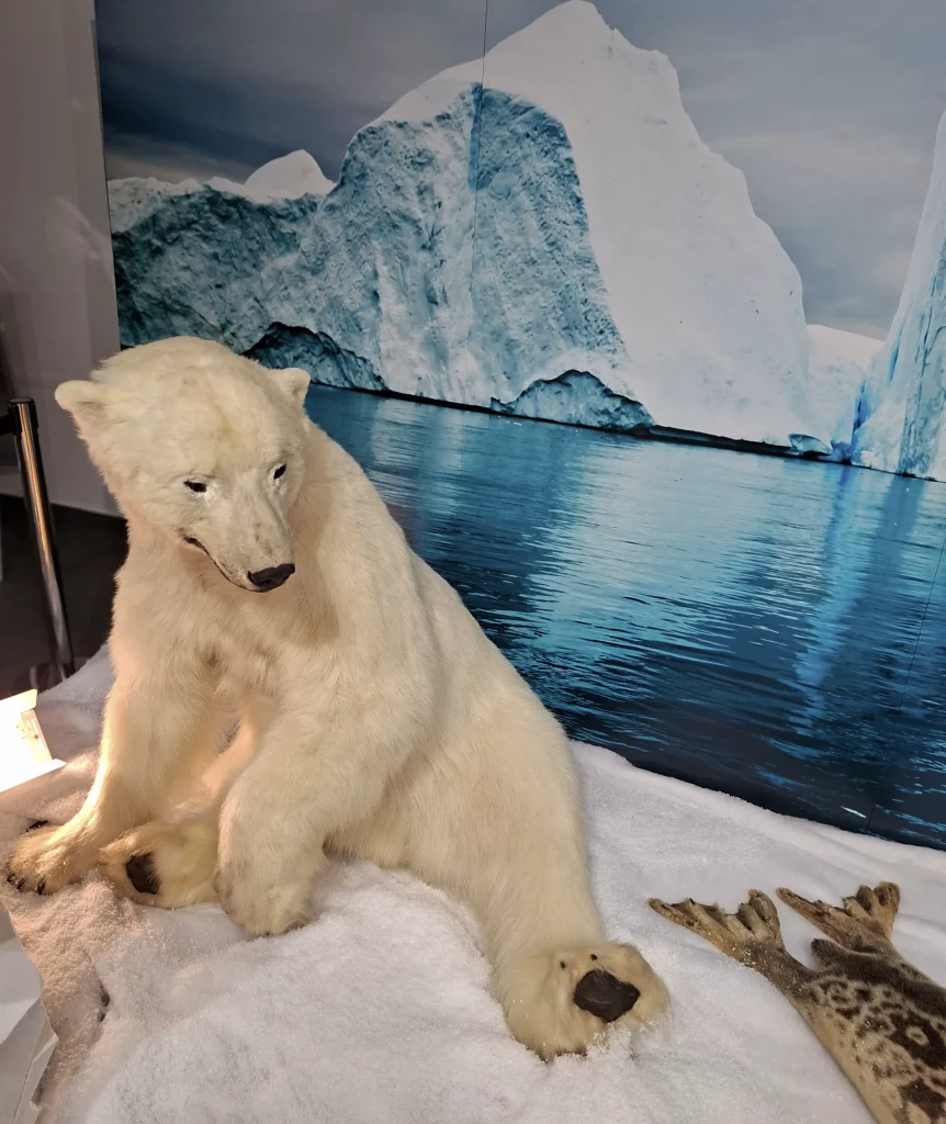 Christian Schneiter est taxidermiste mais aussi sculpteur. Ses ours plus vrais que nature ont envahi l'Esplanade…
