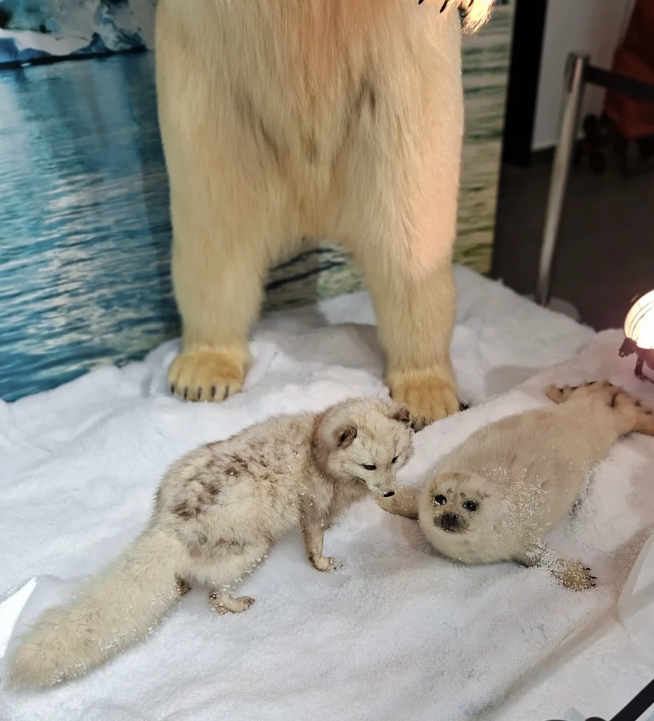 Christian Schneiter est taxidermiste mais aussi sculpteur. Ses ours plus vrais que nature ont envahi l'Esplanade…