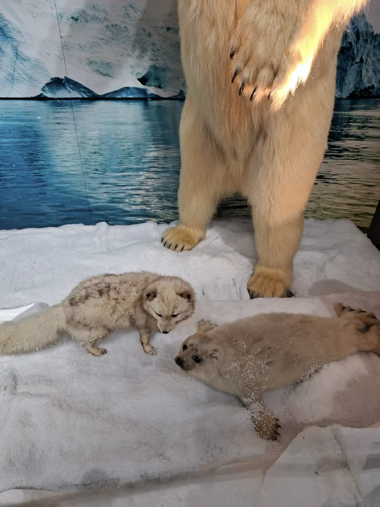 Christian Schneiter est taxidermiste mais aussi sculpteur. Ses ours plus vrais que nature ont envahi l'Esplanade…