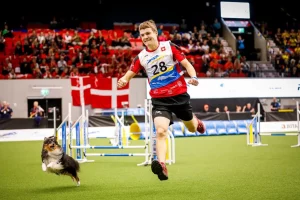 Simon Tabourat, champion du monde d’agility