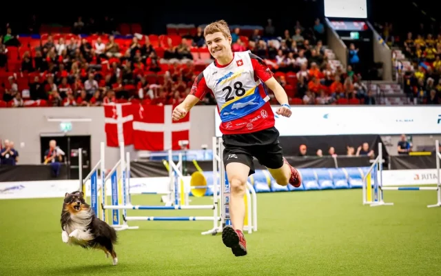 Simon Tabourat, champion du monde d’agility